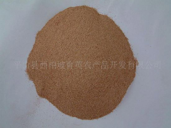 核桃壳滤料 (2)